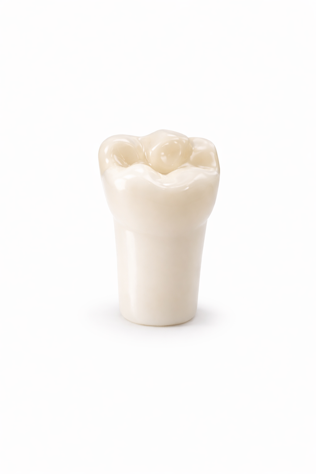 Acrylic Typodont Teeth