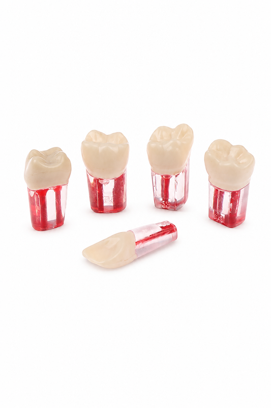 Endo Tooth